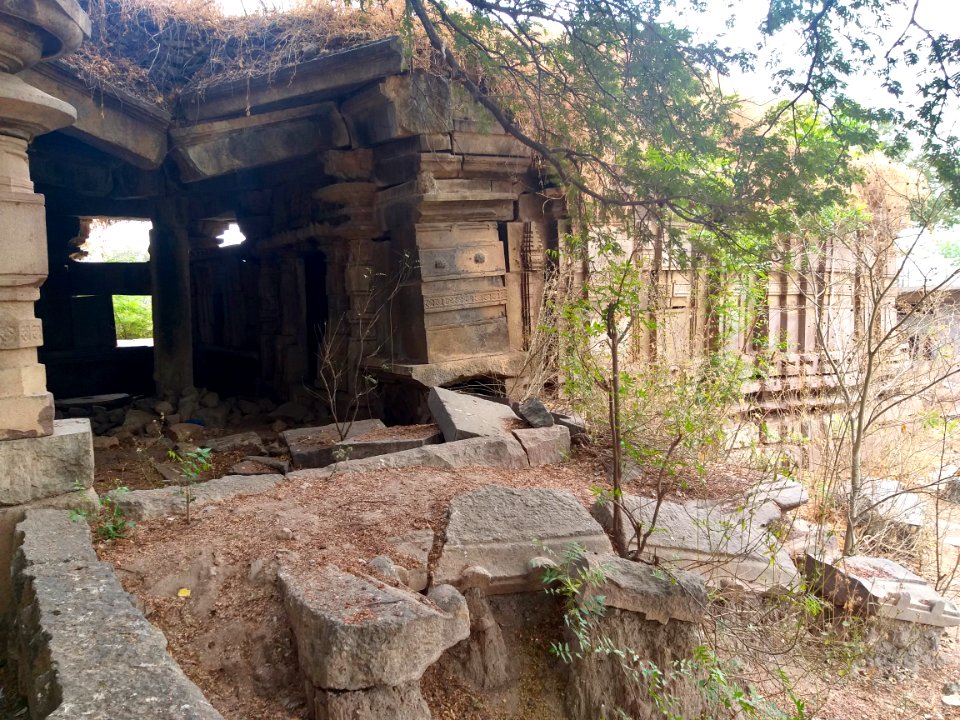 Chikati Gudi, Kothapali Haveli, Telangana - 8