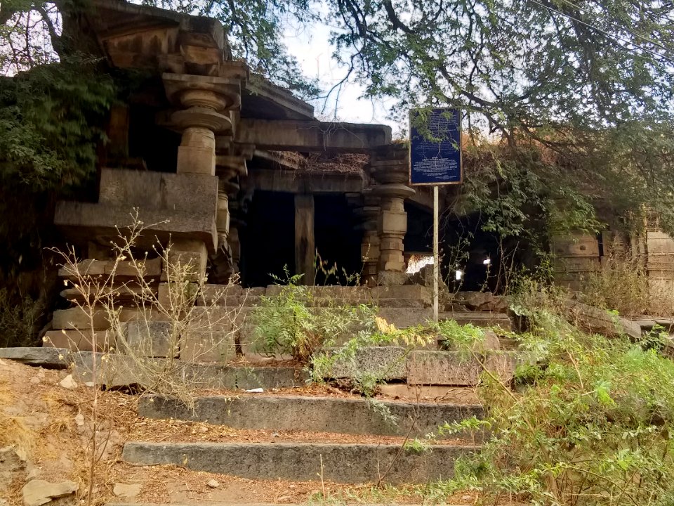 Chikati Gudi, Kothapali Haveli, Telangana - 6