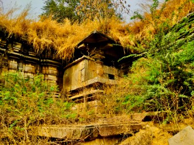 Chikati Gudi, Kothapali Haveli, Telangana - 71