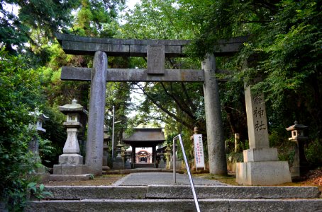 Chikushi-jinja torii