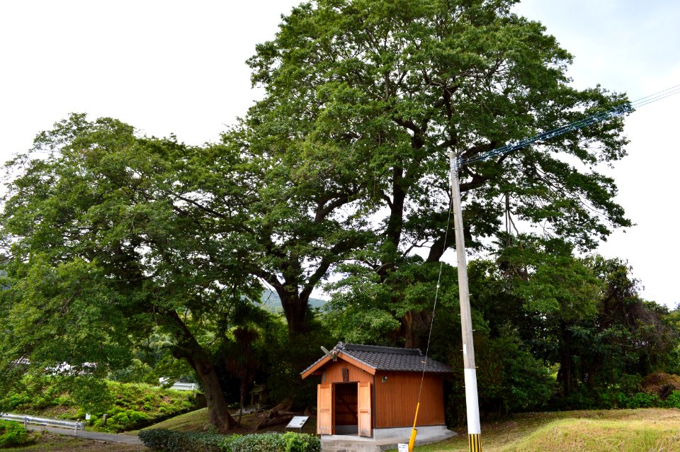 Chikuzen Kokubunji Wakamiya-jinja-2