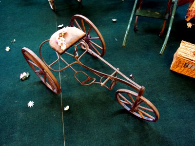 Children tricycle pic3 photo