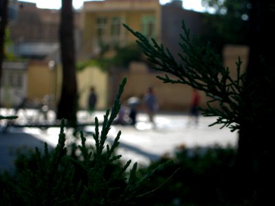 Children playing with water in 17 Shahrivar street rill - Nishapur 1