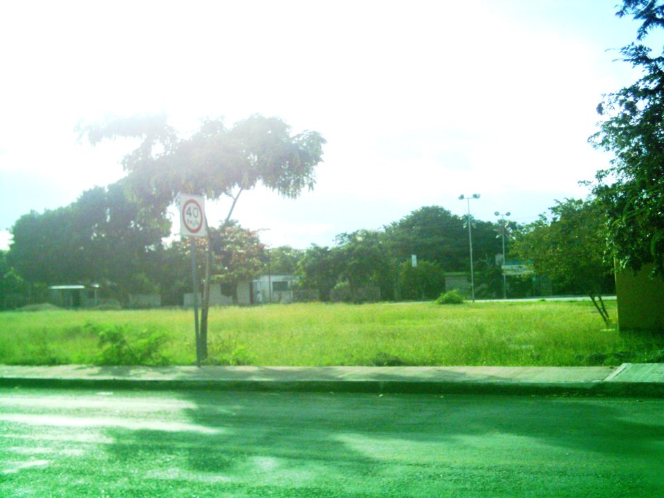 Cheumán, Yucatán (03)