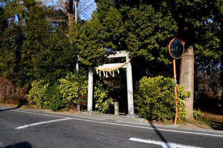 Chigonokuchi-sha torii