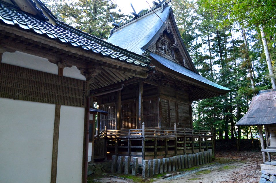 Chihayahiko-jinja, honden