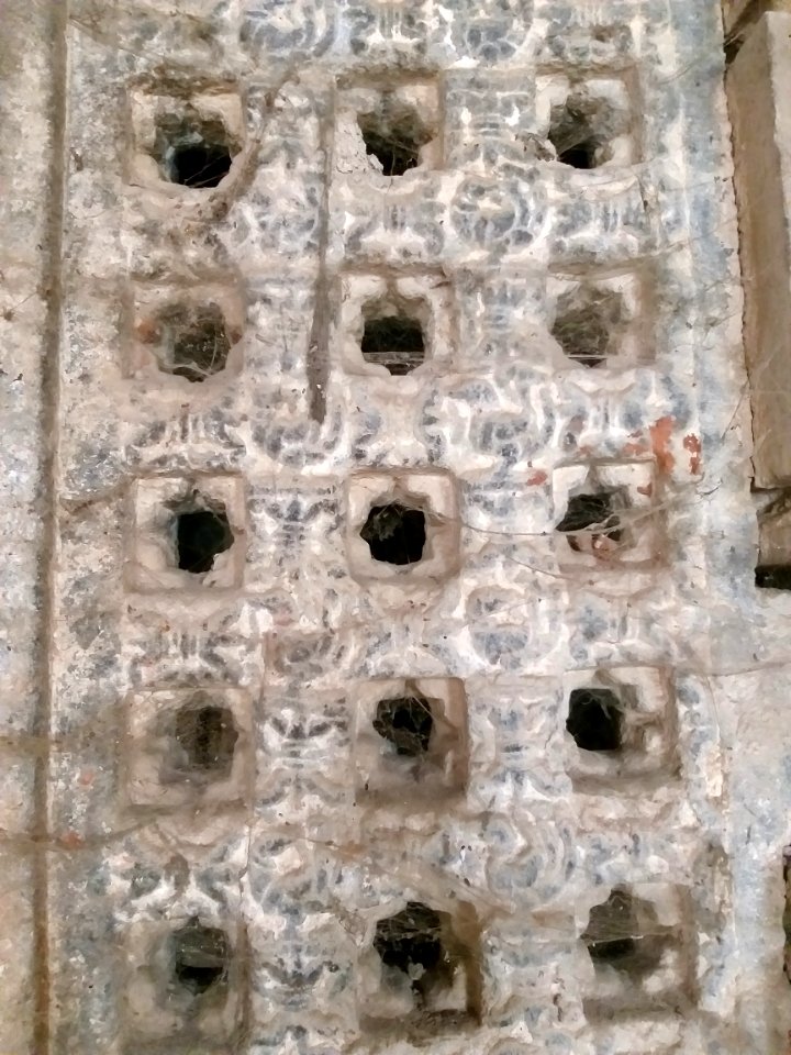 Chikati Gudi, Kothapali Haveli, Telangana - 35