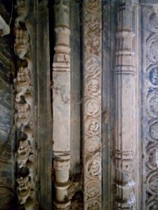 Chikati Gudi, Kothapali Haveli, Telangana - 19