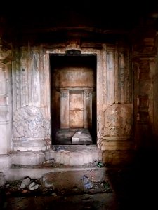 Chikati Gudi, Kothapali Haveli, Telangana - 39