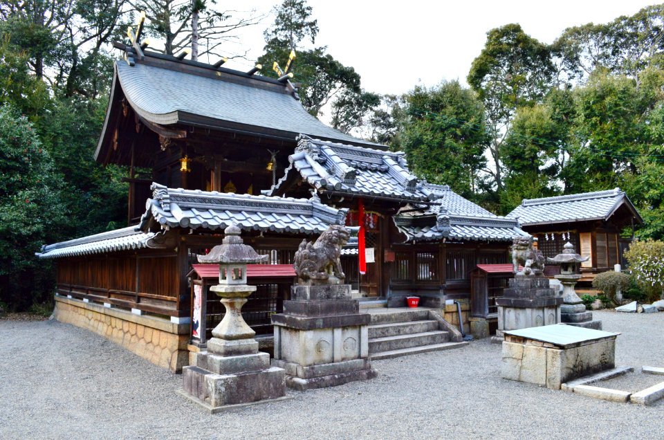 Chikatsuo-jinja, haiden
