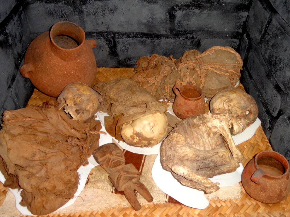 Child mummies from near Lupo, Peruvian Andes, about 550 years old - San Diego Museum of Man - DSC06927