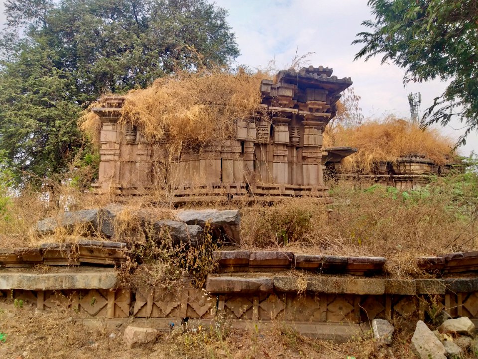 Chikati Gudi, Kothapali Haveli, Telangana - 5