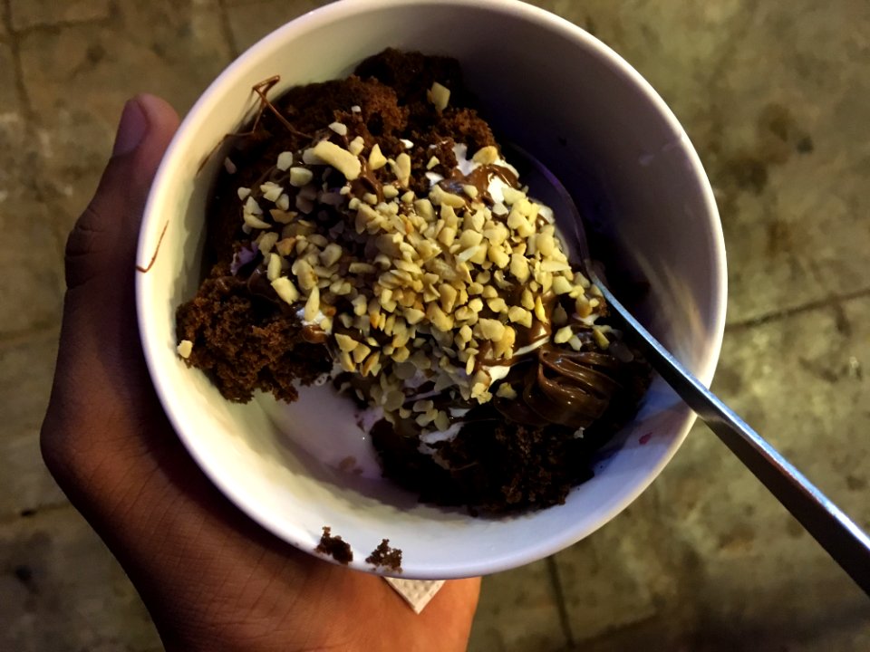 Chocolate fudge ice cream (1)