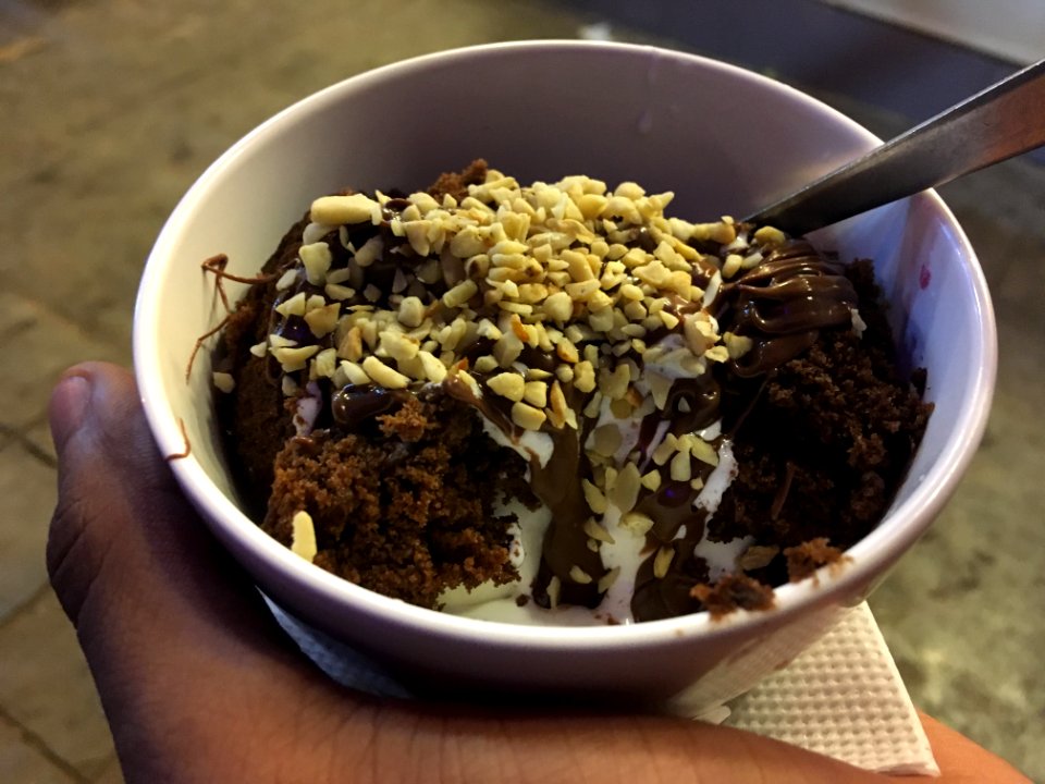 Chocolate fudge ice cream (2)