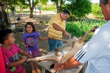 Children helping kill a goat for Christmas photo