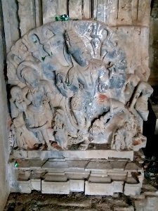 Chikati Gudi, Kothapali Haveli, Telangana - 37