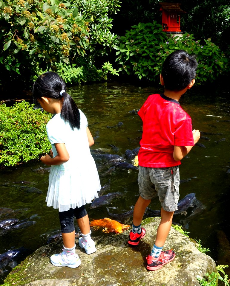 Children at pond - Hakone-jinja - Hakone, Japan - DSC05849