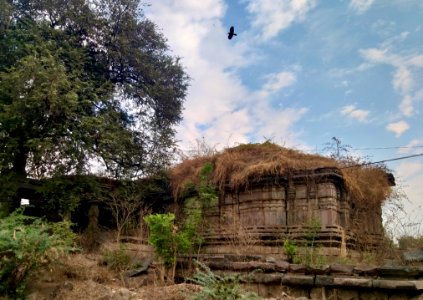 Chikati Gudi, Kothapali Haveli, Telangana - 1
