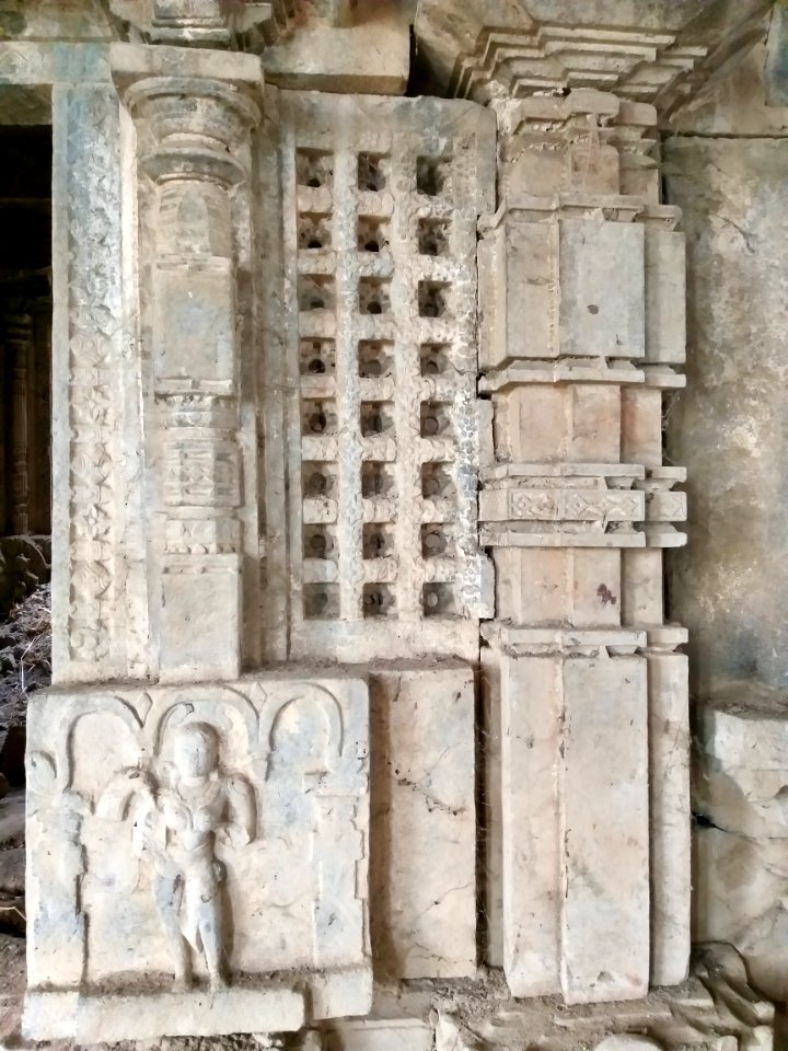 Chikati Gudi, Kothapali Haveli, Telangana - 14