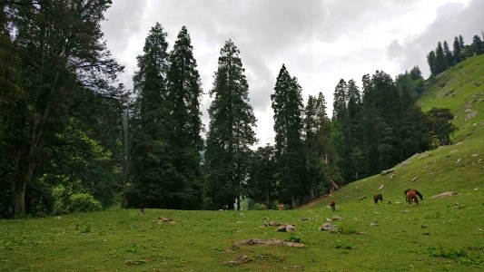 Chika Day one base camp of Chandrataal trek Himachal India