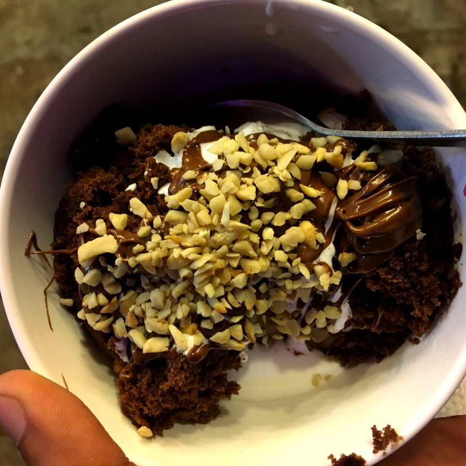 Chocolate fudge ice cream (3)