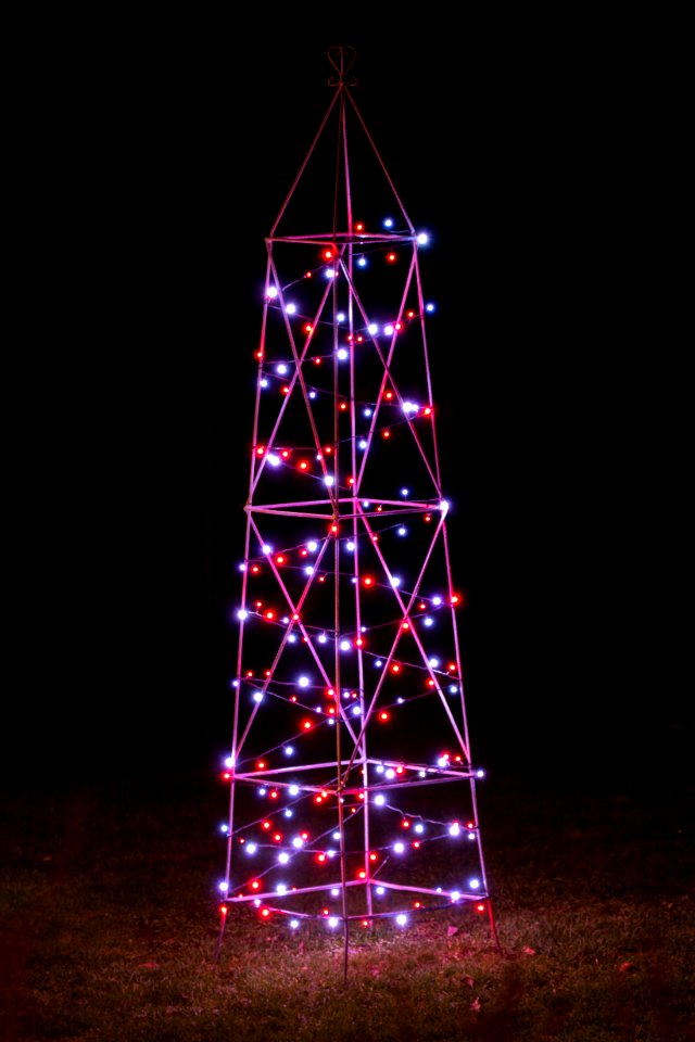 Christmas lights in a garden 1