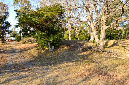 Chojayashiki Site (Iwata), nansei
