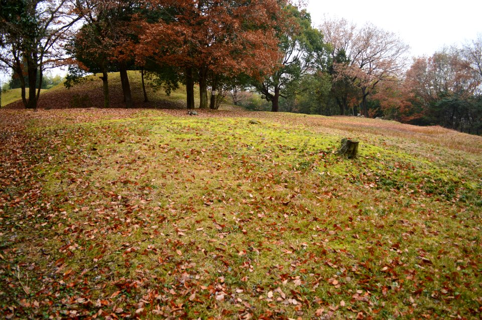 Chofukuji-Urayama Kofun Group, Futatsuzuka-higashi Kofun Group, gaikan
