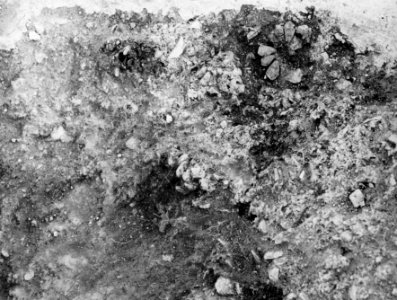 Cholades. Rum XLIII A, offergropen med pinjikottar in situ, detalj. Soli - SMVK - C03630