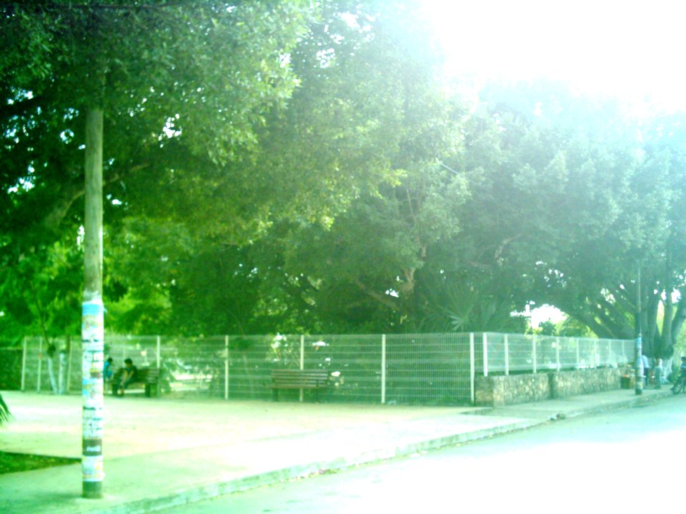 Cholul (Mérida), Yucatán (01)