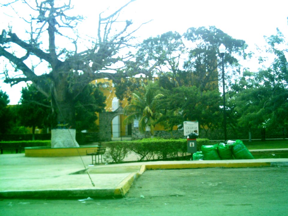 Cholul (Mérida), Yucatán (02)
