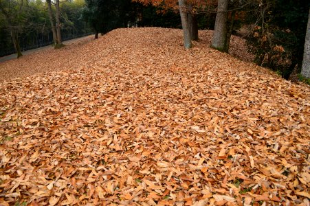 Chofukuji-Urayama Kofun Group, Higashizuka Kofun, zenpoubu-2