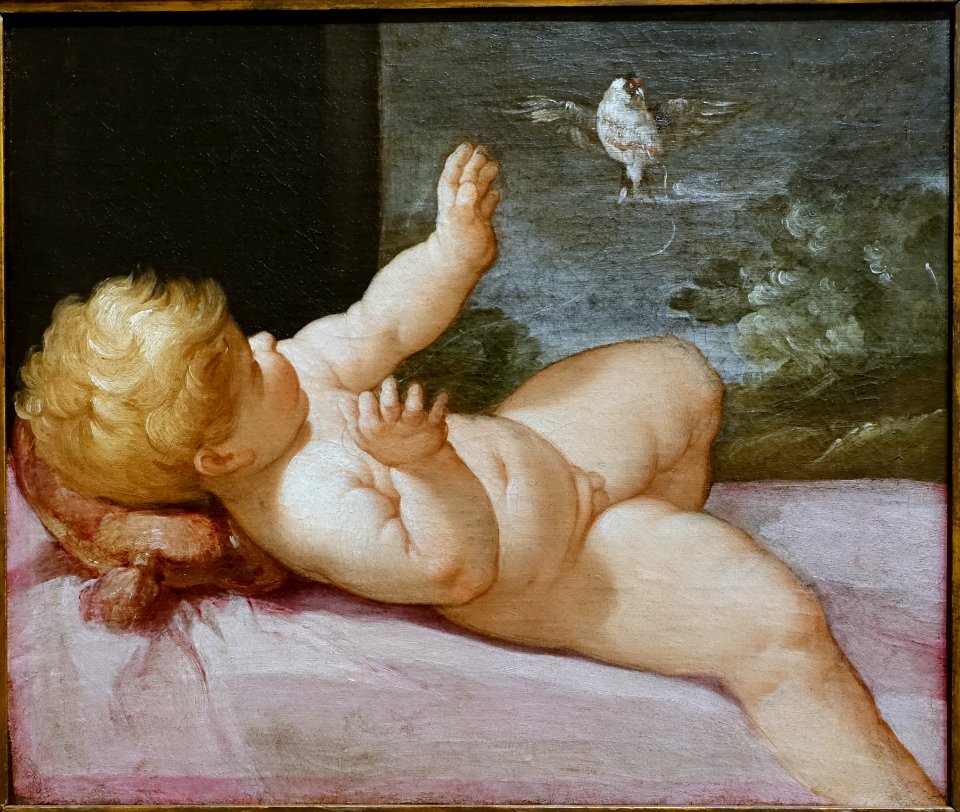 Christ Child Playing with a Finch, by Guido Reni, Bologna, c. 1634-1645, oil on canvas - Blanton Museum of Art - Austin, Texas - DSC07891