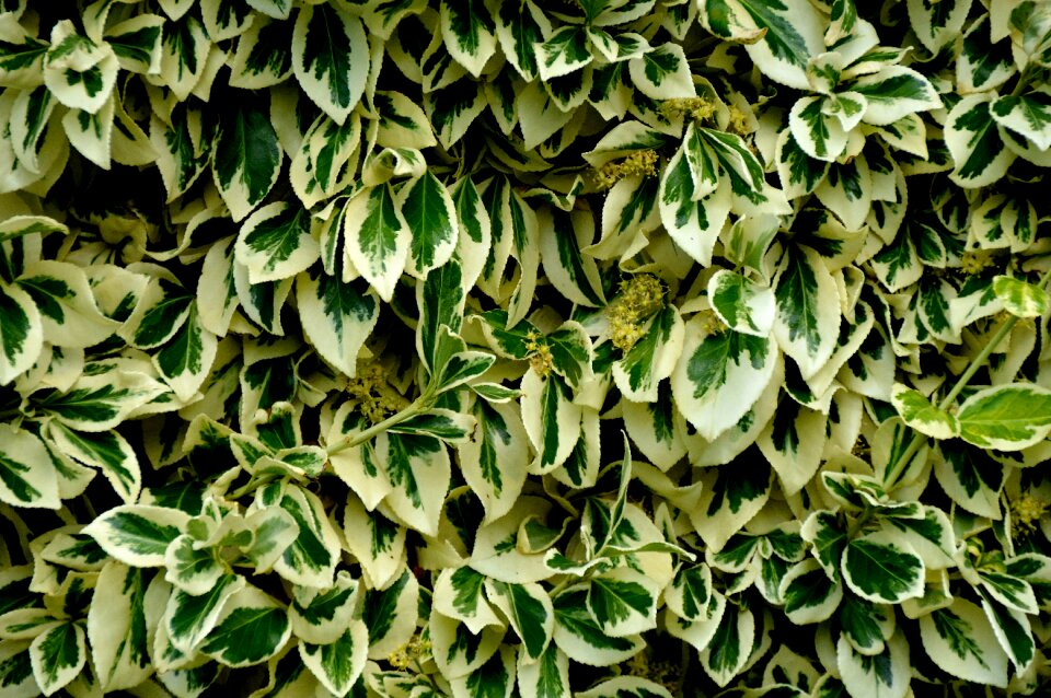 Cover background light