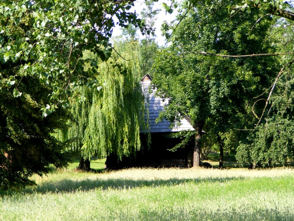 CHORZÓW, AB. 024