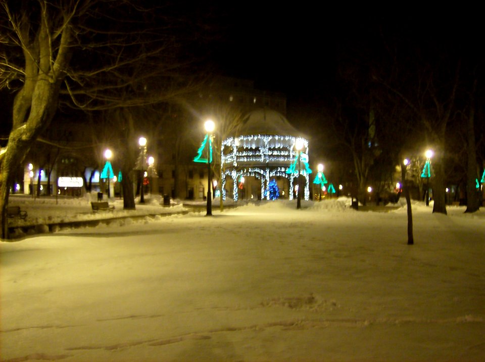 Christmas lights KEEPER