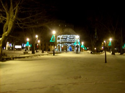 Christmas lights KEEPER