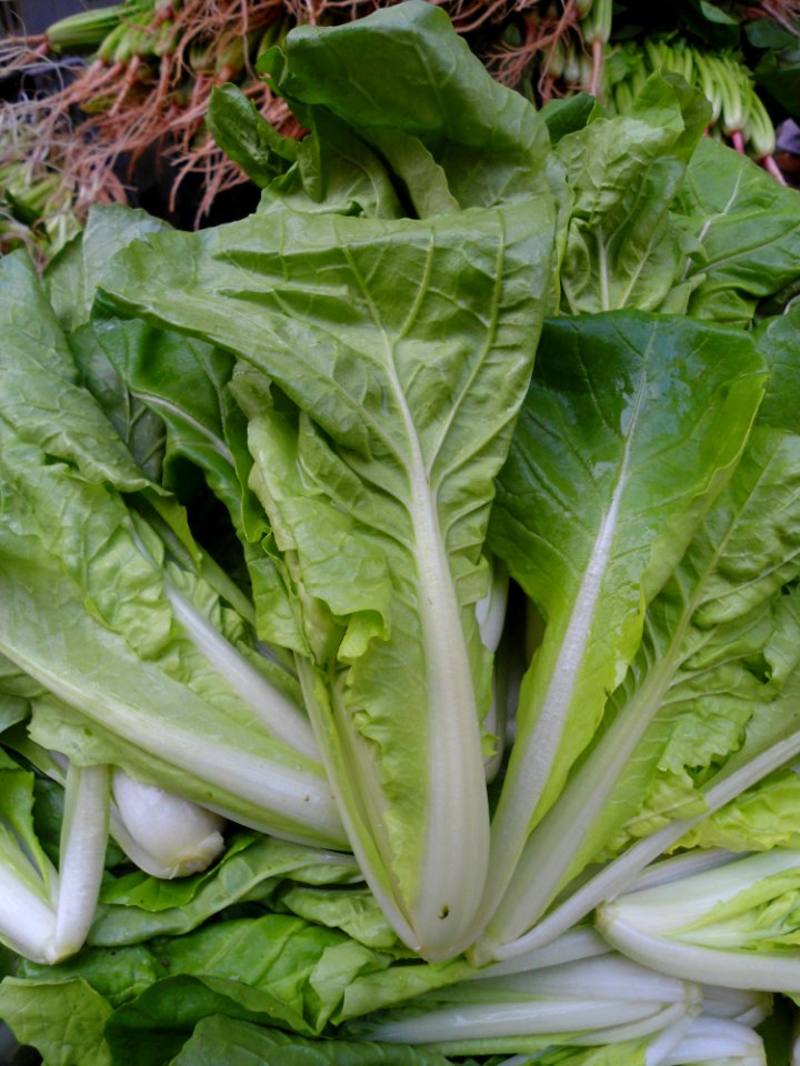 Chinese vegetable 004