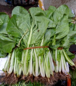 Chinese vegetable 011