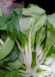 Chinese vegetable 006