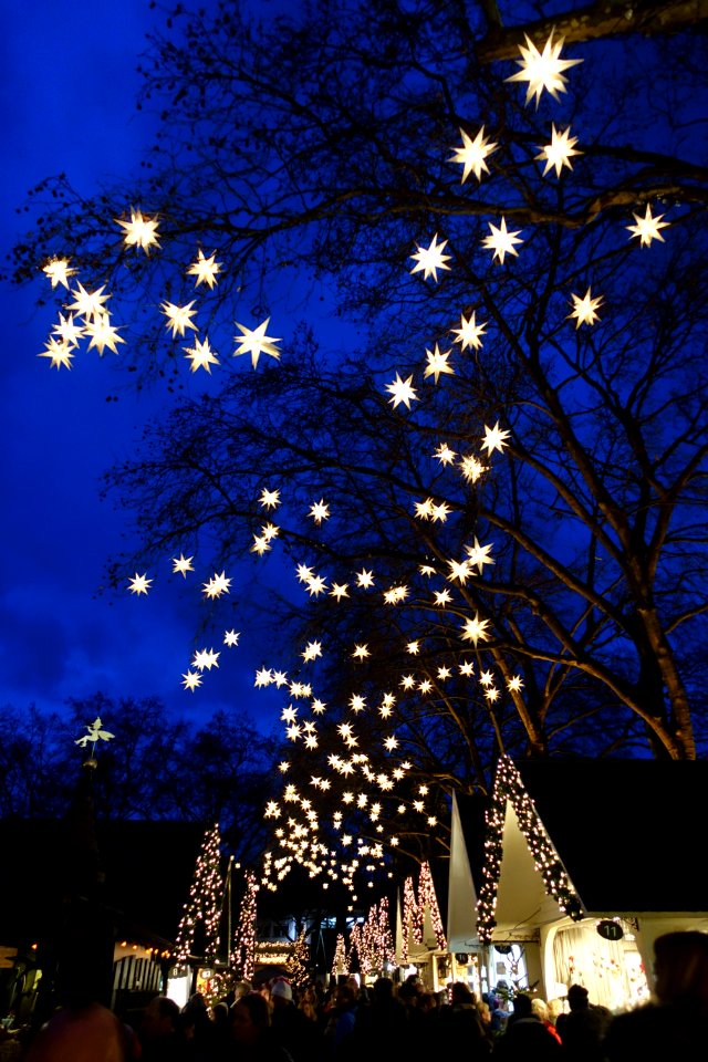 Christmas market - Cologne, Germany - DSC00359
