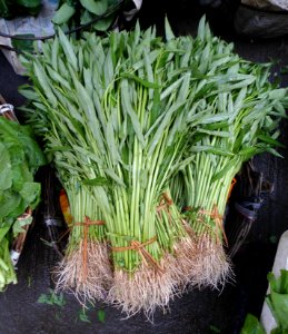 Chinese vegetable 012