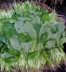 Chinese vegetable 008