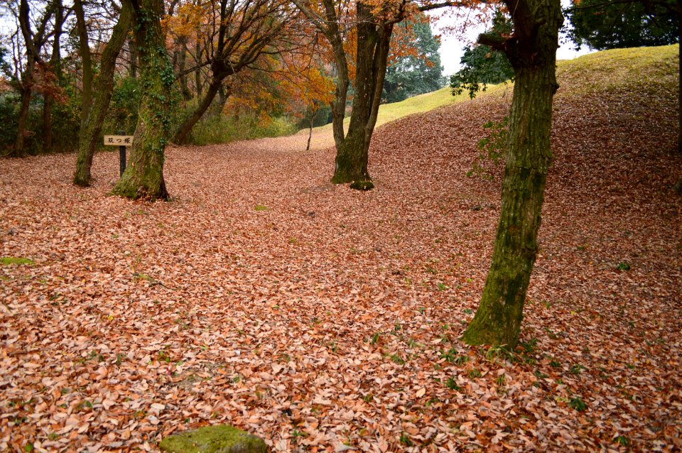 Chofukuji-Urayama Kofun Group, Futatsuzuka Kofun, hori