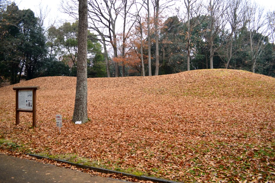 Chofukuji-Urayama Kofun Group, Higashizuka Kofun, funkyu