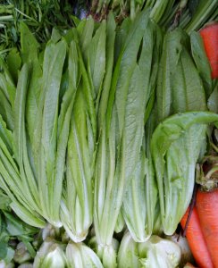Chinese vegetable 021