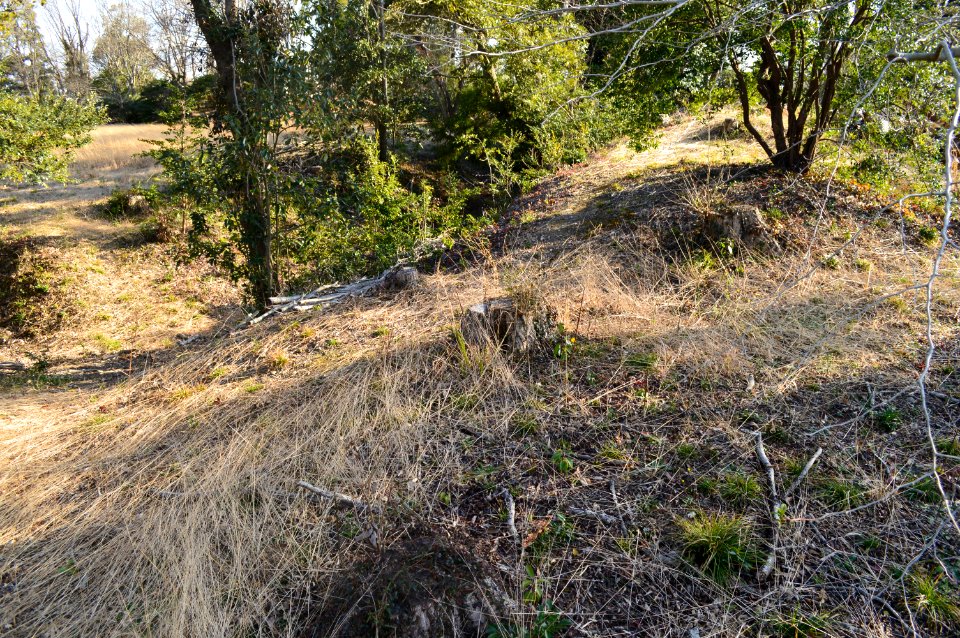 Chojayashiki Site (Iwata), hokusei