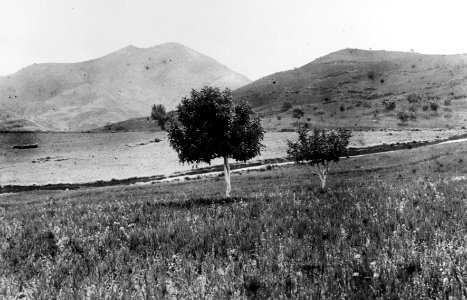Cholades före utgrävningen. Soli - SMVK - C01185