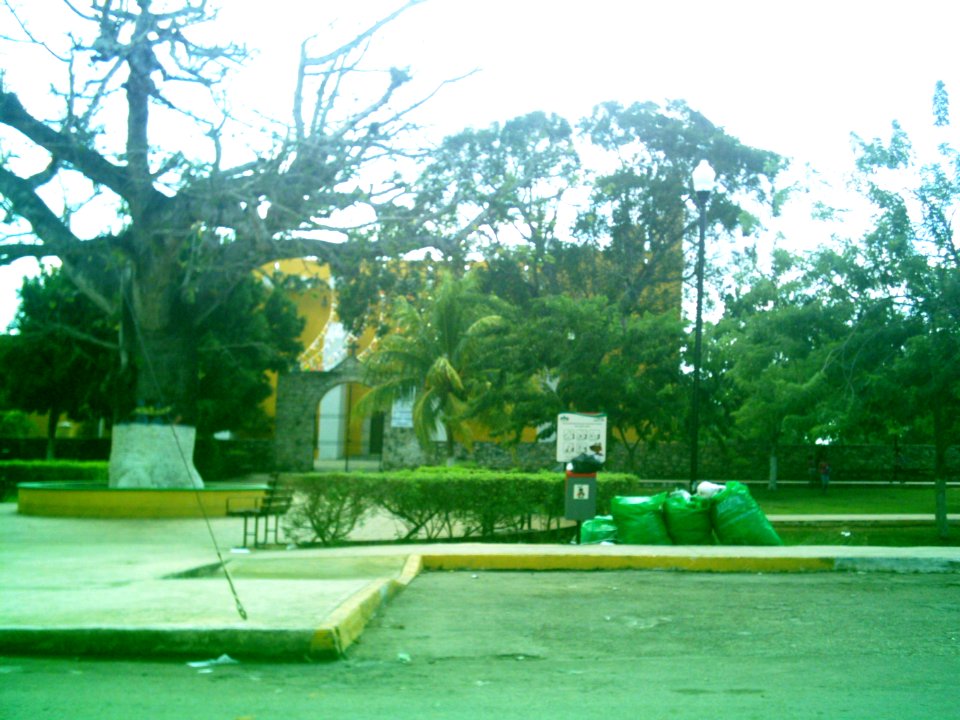 Cholul (Mérida), Yucatán (03)