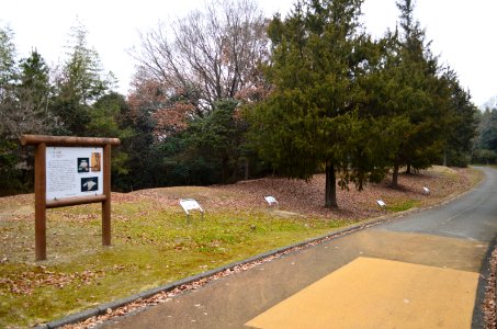 Chofukuji-Urayama Kofun Group, Nanatsuzuka Kofun, gaikan